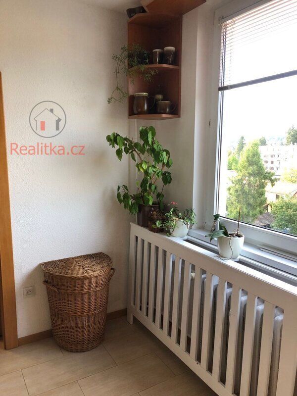 Pronájem slunného bytu po zdařilé rekonstrukci