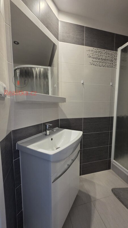 Pronájem bytu 2+1 48m2