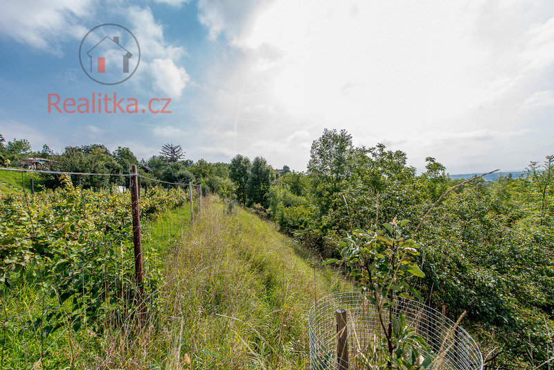 Prodej pozemku v Záboří u Kel